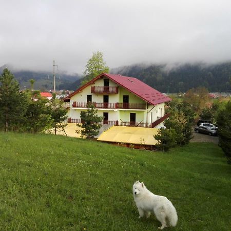 Grandemi Belvedere Bucovina Frasin Dış mekan fotoğraf